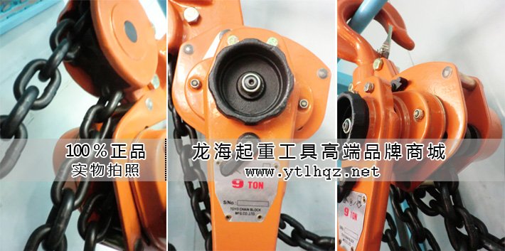 龍升環鏈手扳葫蘆細節圖片