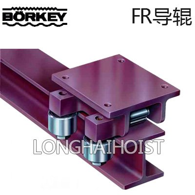 德國(guó)Borkey FR導(dǎo)輥