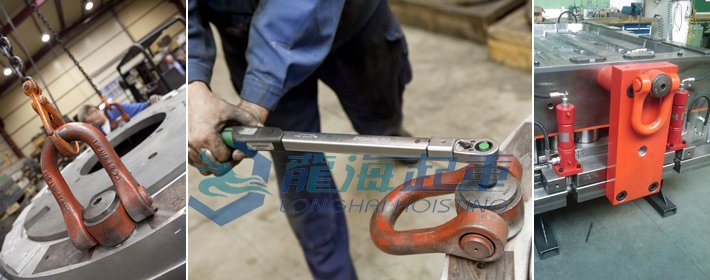 盧森堡DSS型旋轉吊環使用案例圖片