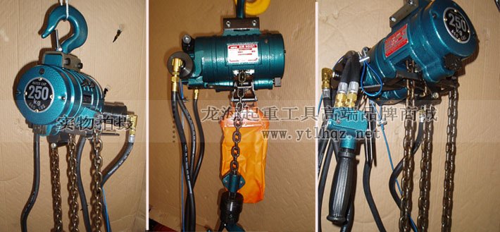 RHL-250P按鈕式氣動葫蘆細節圖