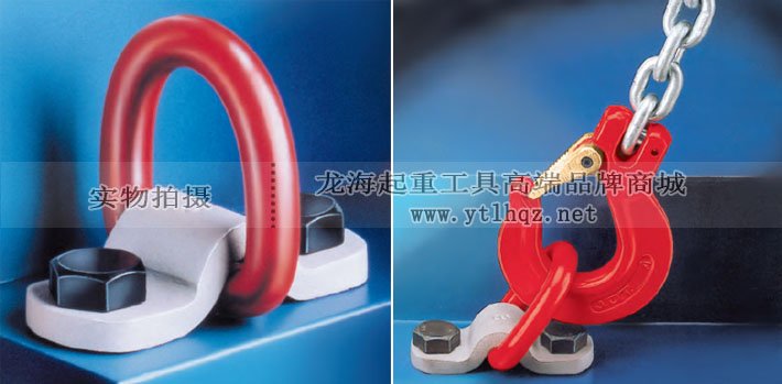 TAPG型德國JDT吊環應用案例