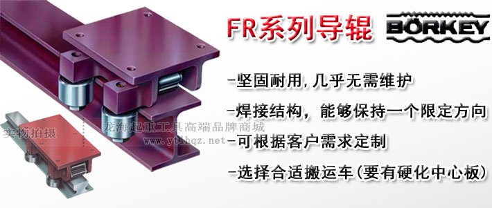 德國(guó)Borkey FR導(dǎo)輥