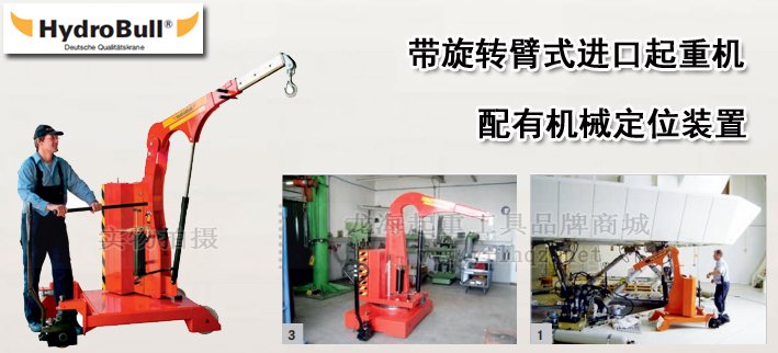 Hydrobull帶旋轉臂式進口起重機