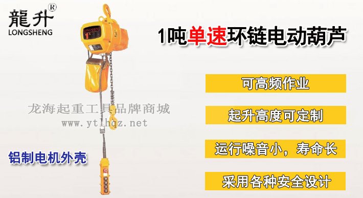 1噸單速環鏈電動葫蘆圖片