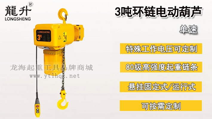 3噸環鏈電動葫蘆圖片