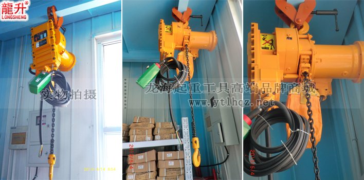 固定式龍升防爆環(huán)鏈電動葫蘆