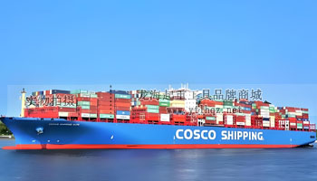 輪式集裝箱搬運工具使用場景